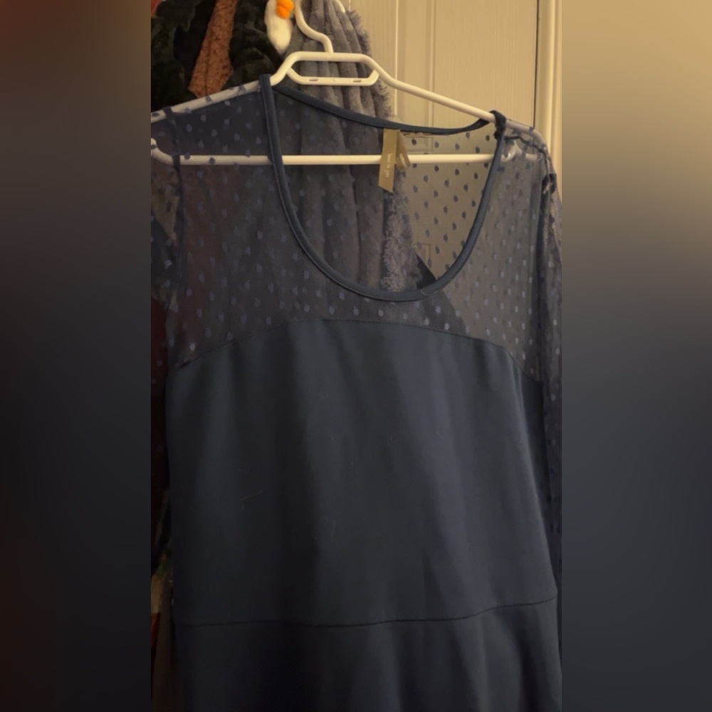 Plus-Size Sheer Blouse with Polka Dot Detail